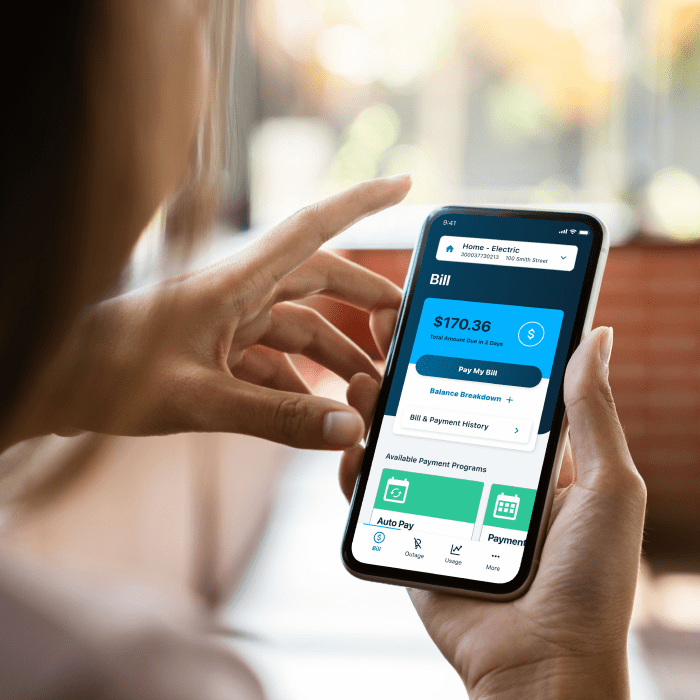 Woman using the LKE Utilities app