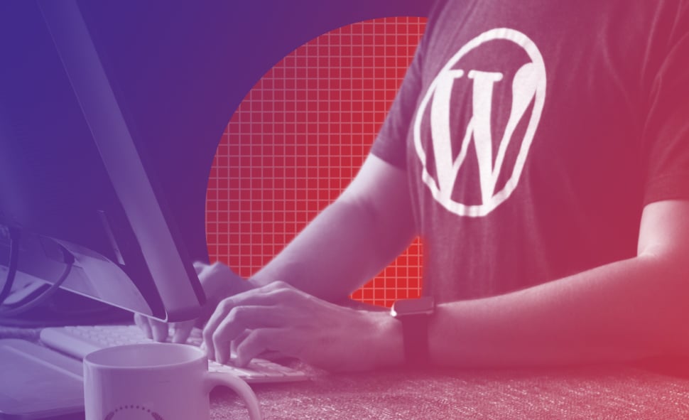 Person wearing a wordpress logo t-shirt working at a computer