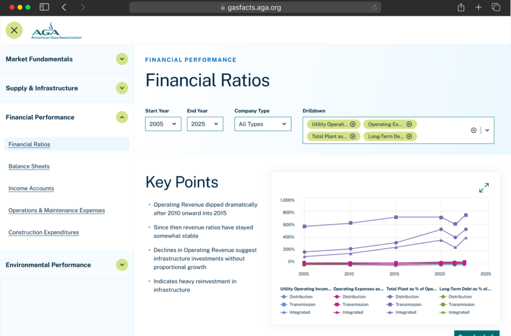 Financial Ratios AGA Design screenshot